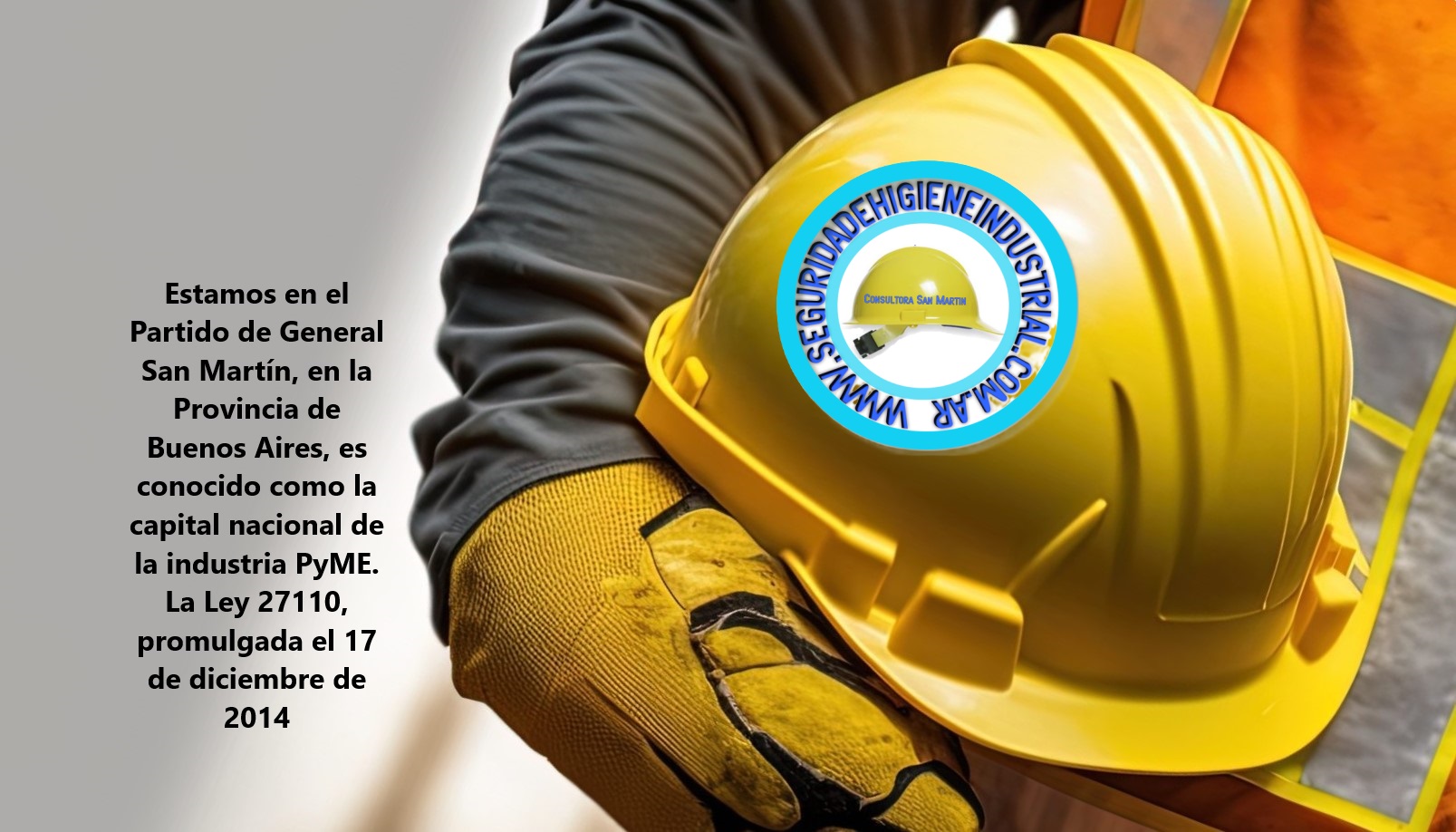 Consultora de higiene y seguridad